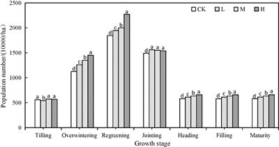 Effect of long term application of super absorbent polymer on soil structure, soil enzyme activity, photosynthetic characteristics, water and nitrogen use of winter wheat